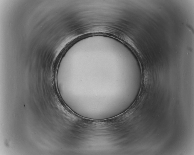 X0000102221116200808011155