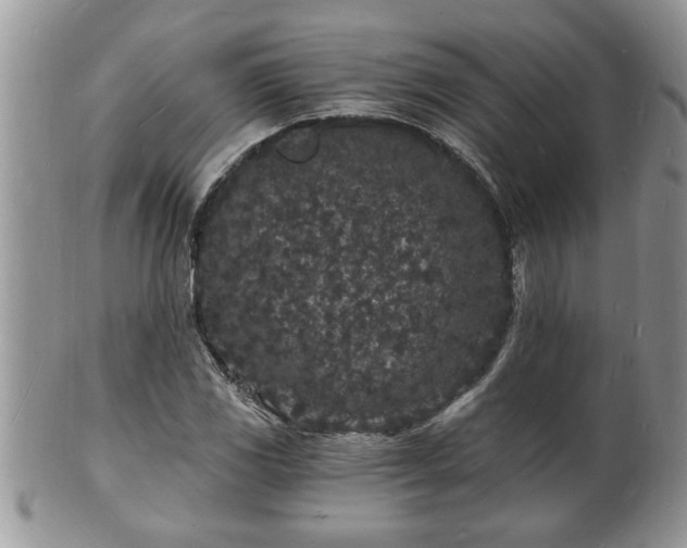 X0000102221117200808011155