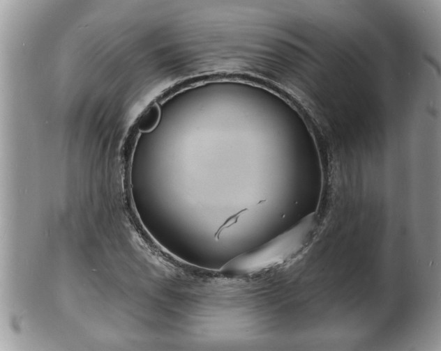 X0000102221118200808011155