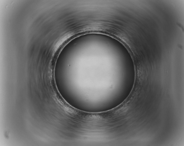 X0000102221119200808011156