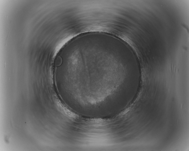 X0000102221120200808011156