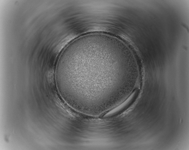 X0000102221121200808011156