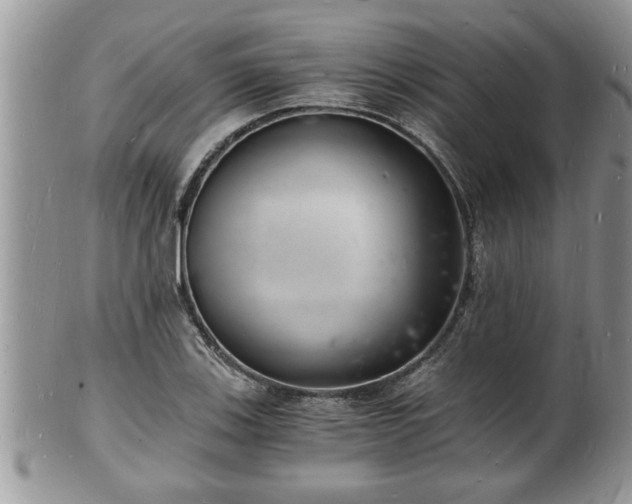 X0000102221123200808011156