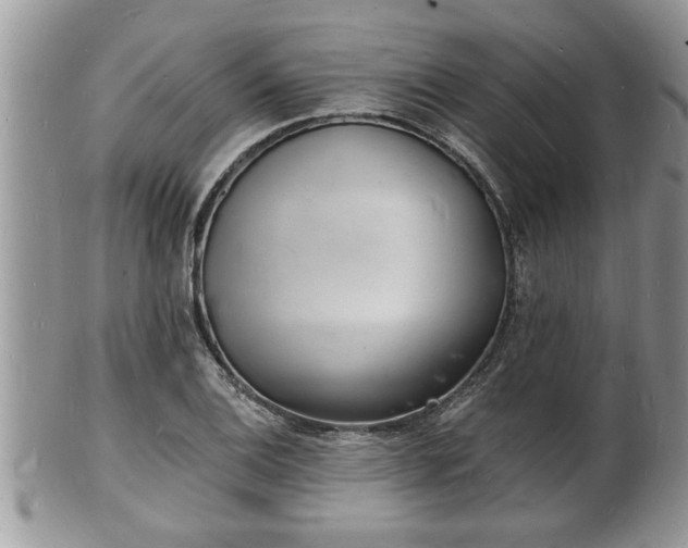 X0000102221124200808011156