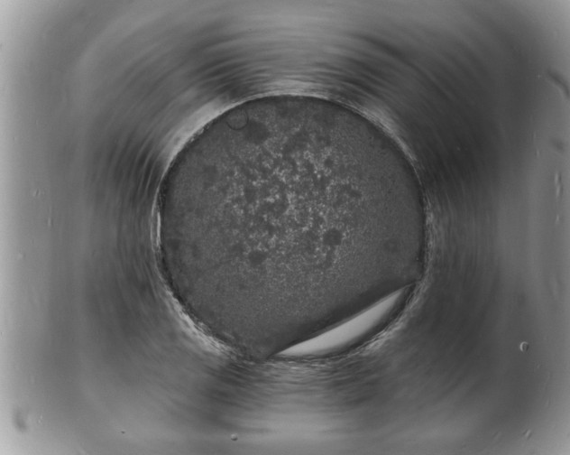 X0000102221125200808011156