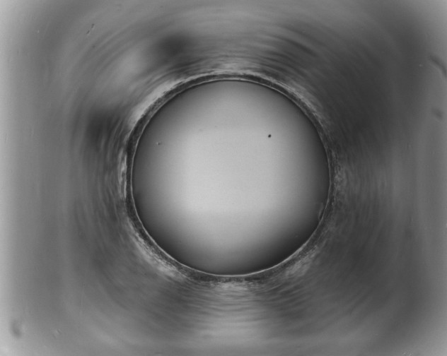 X0000102221126200808011156