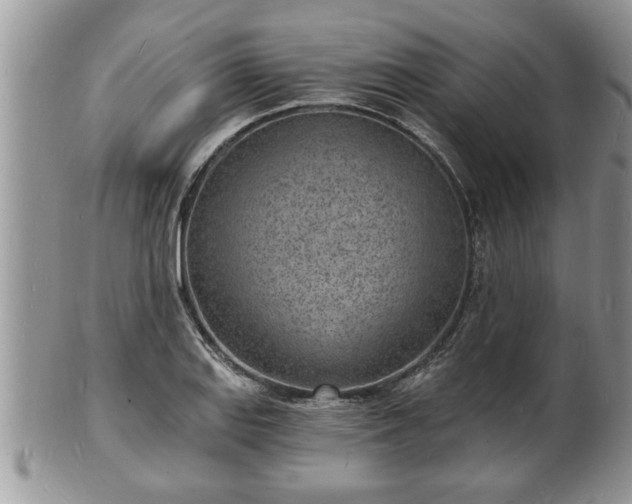 X0000102221127200808011156