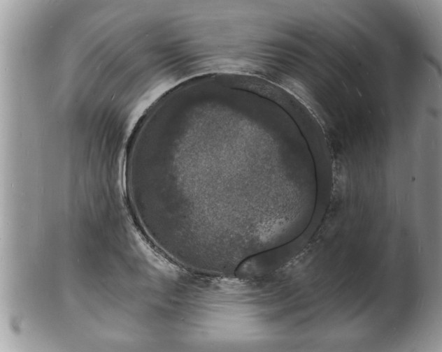 X0000102221128200808011156