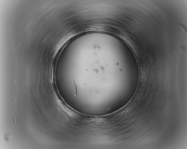 X0000102221131200808011156