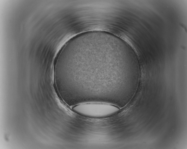 X0000102221132200808011156