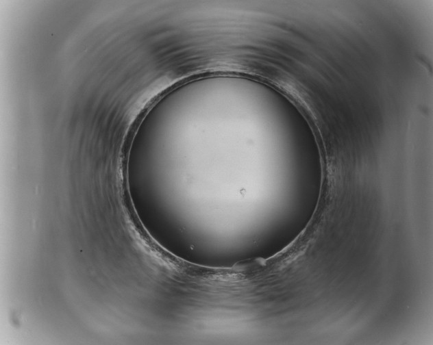 X0000102221133200808011156