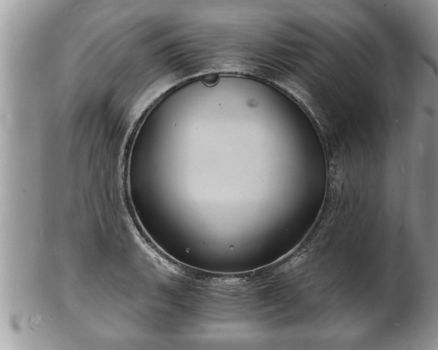 X0000102221135200808011156