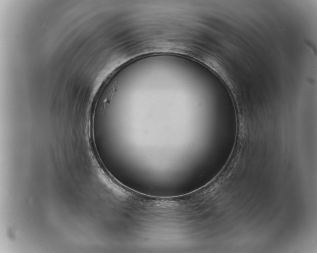 X0000102221136200808011156