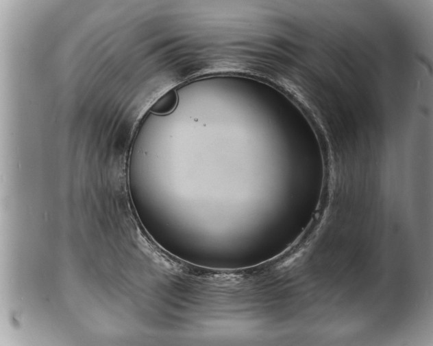 X0000102221137200808011156