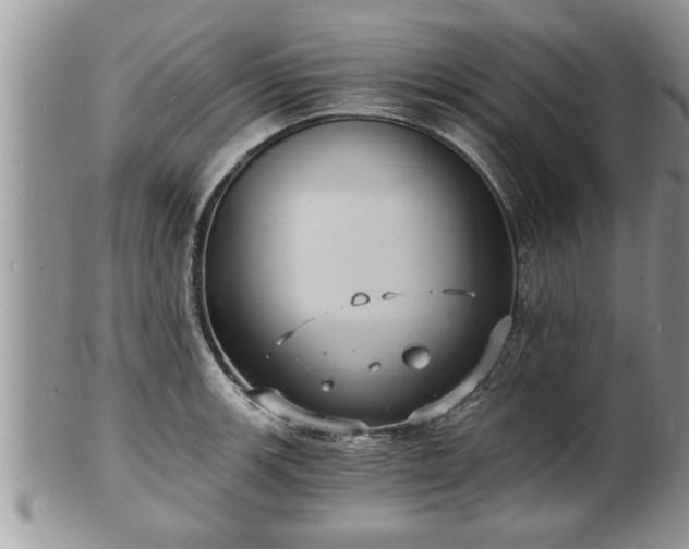 X0000102221139200808011156