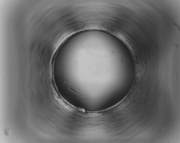 X0000102221140200808011156