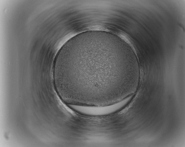 X0000102221141200808011156