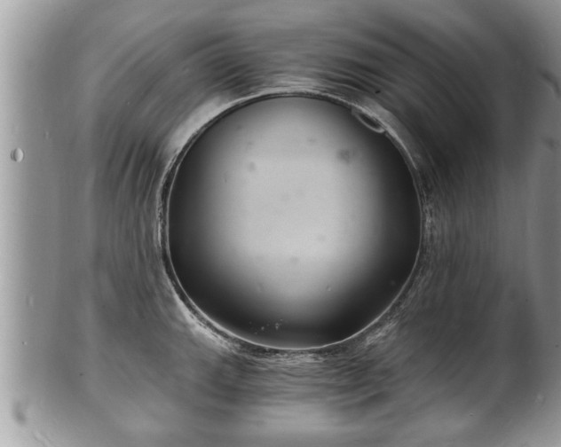 X0000102221143200808011156