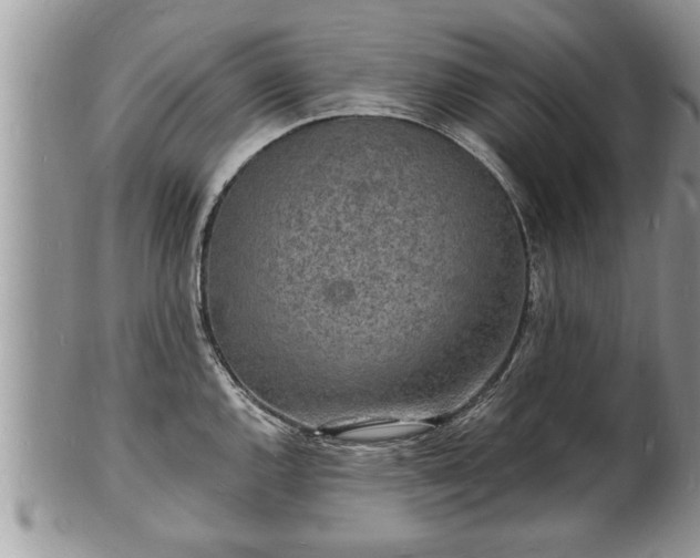 X0000102221144200808011156