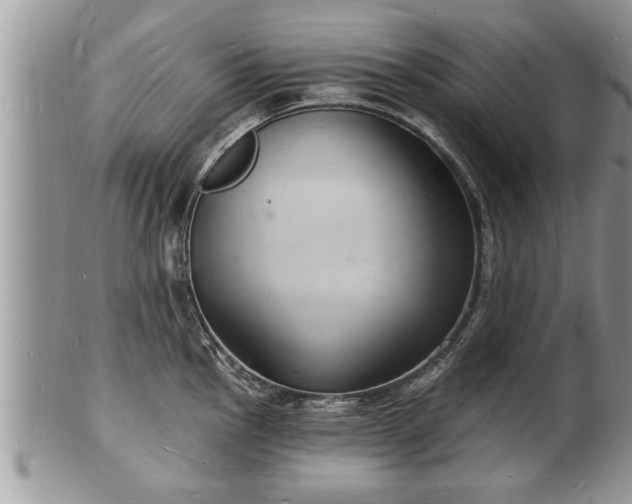 X0000102221145200808011156