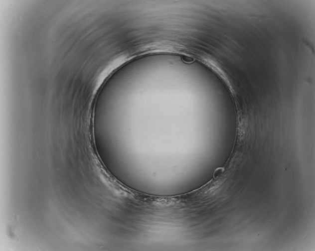 X0000102221146200808011156