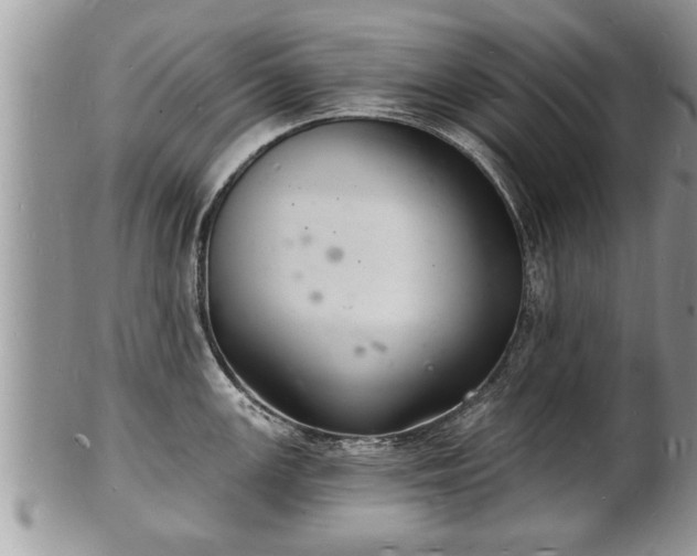 X0000102221147200808011156