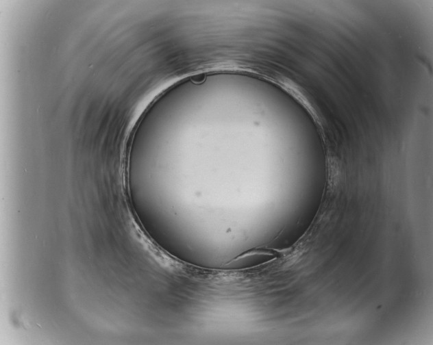 X0000102221148200808011156