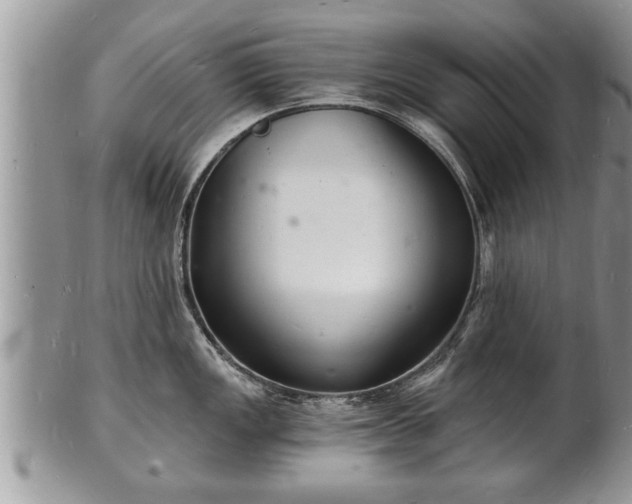 X0000102221149200808011156