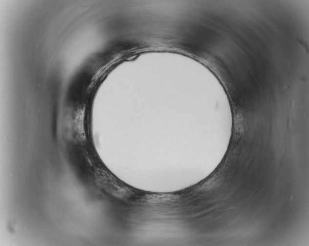 X0000102221150200808011156