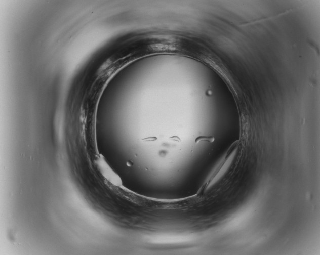 X0000102221151200808011156