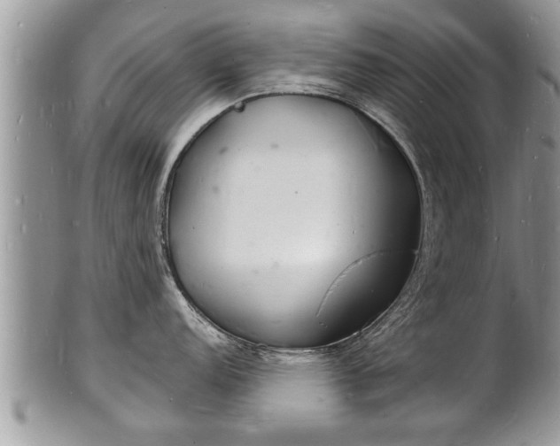 X0000102221152200808011156