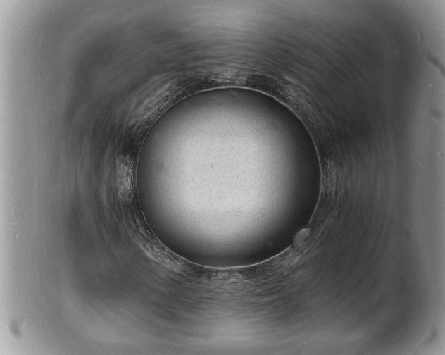 X0000102221154200808011155