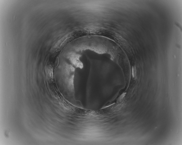 X0000102221155200808011155