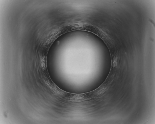 X0000102221156200808011155