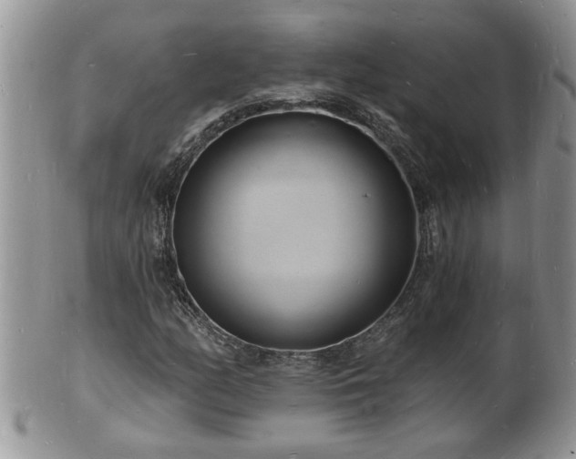 X0000102221158200808011155