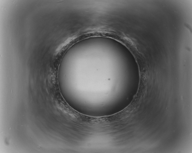 X0000102221159200808011155