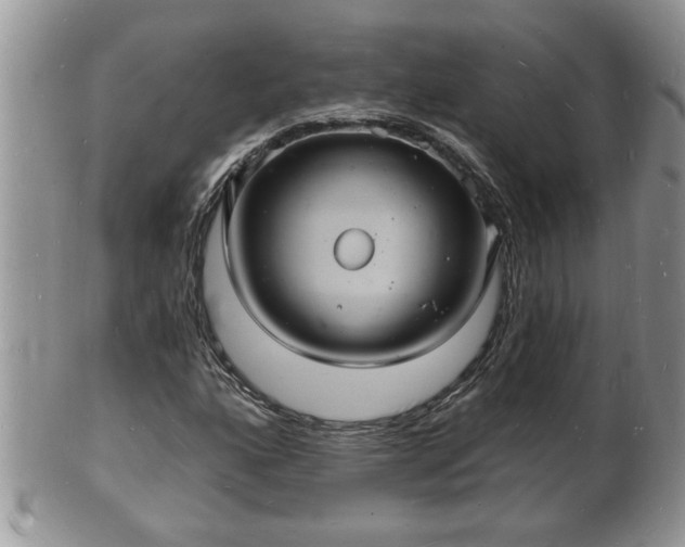 X0000102221160200808011155