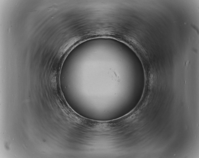 X0000102221162200808011155