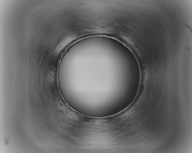 X0000102221163200808011155