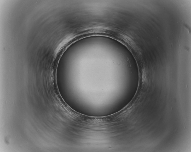 X0000102221164200808011155