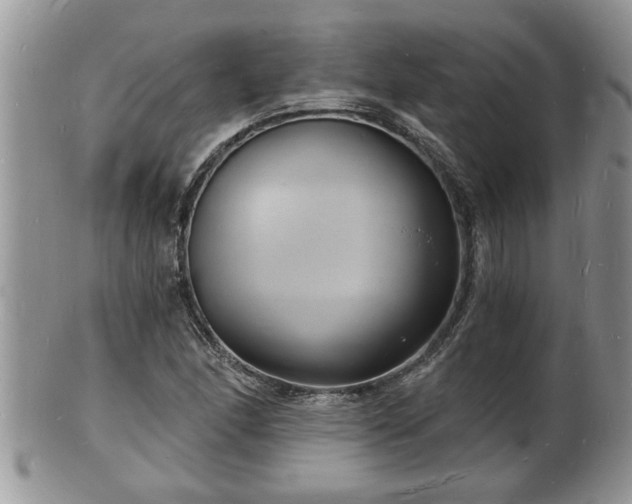 X0000102221166200808011155