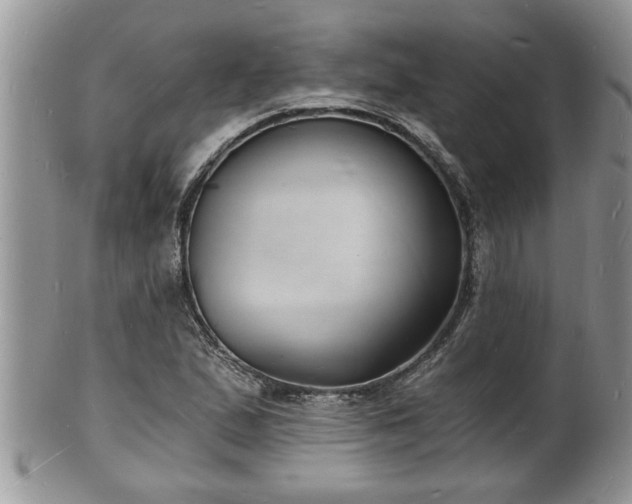 X0000102221167200808011155