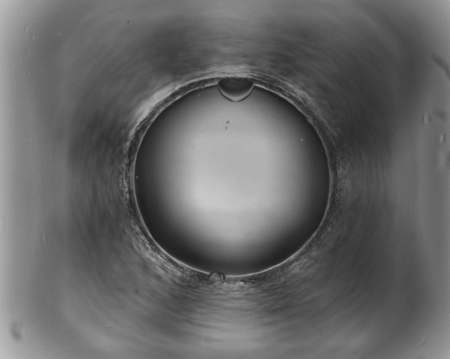 X0000102221168200808011155