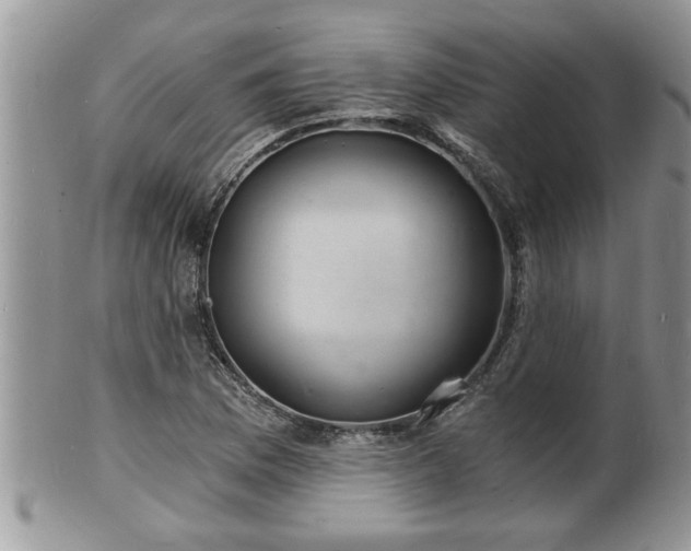 X0000102221169200808011155