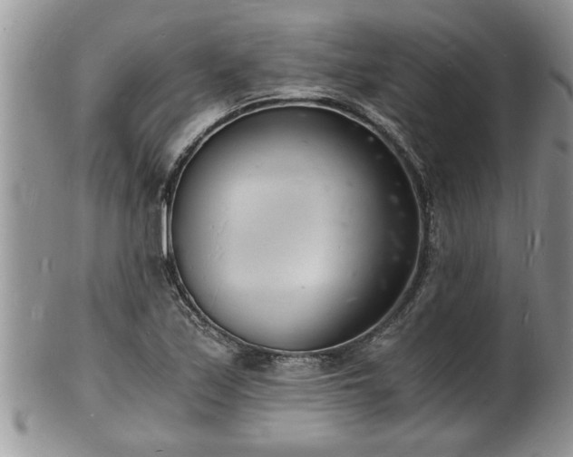 X0000102221171200808011155