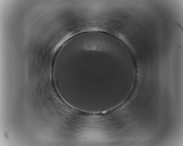 X0000102221173200808011155