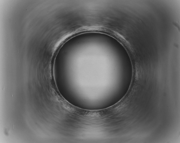 X0000102221174200808011155