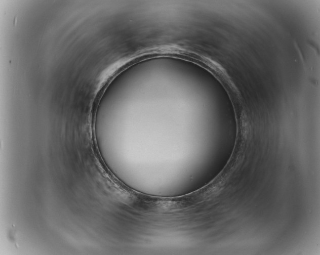 X0000102221176200808011155