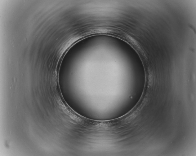 X0000102221178200808011155