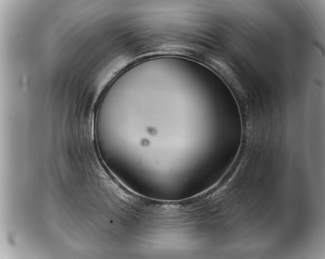 X0000102221180200808011155